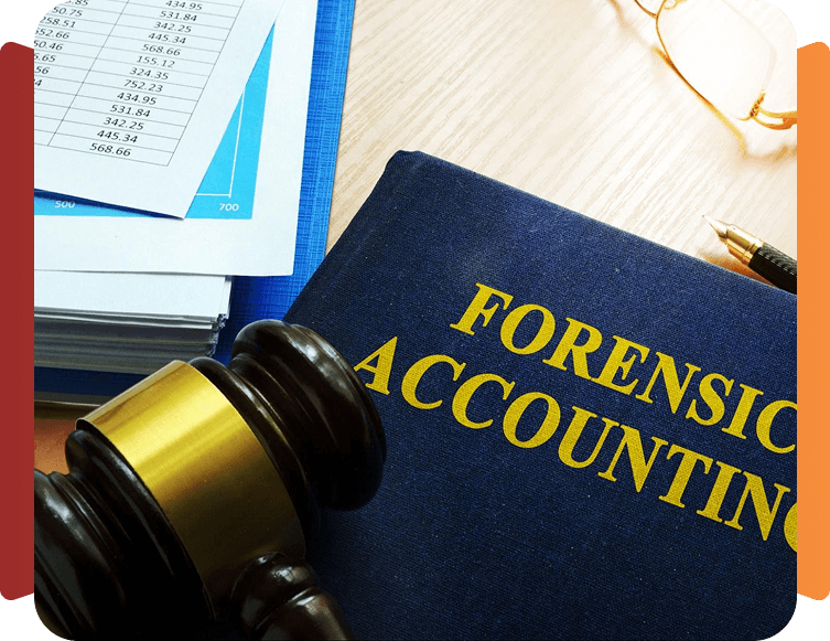 Fraud Investigations